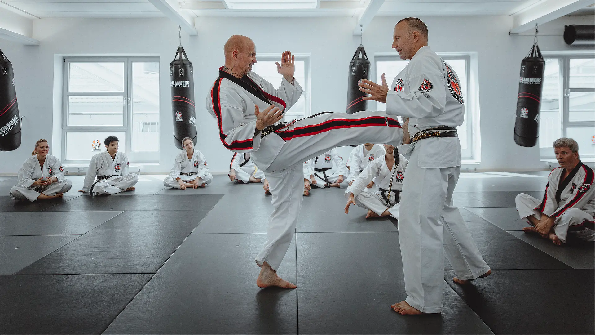 Lemmens Martial Arts Video