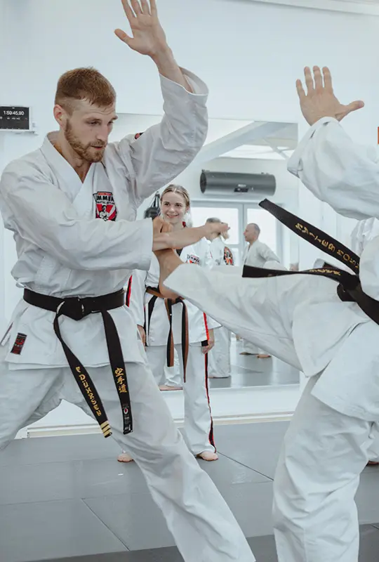 Lemmens Martial Arts